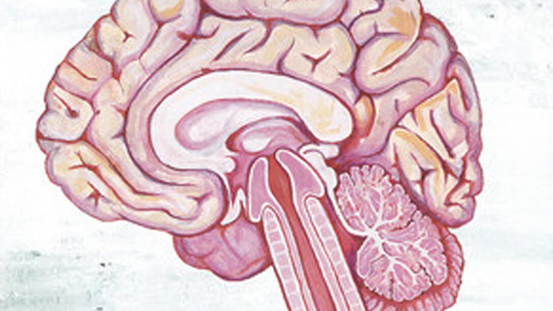 Shing02「44戒」に学ぶビジネスのポイント5つ